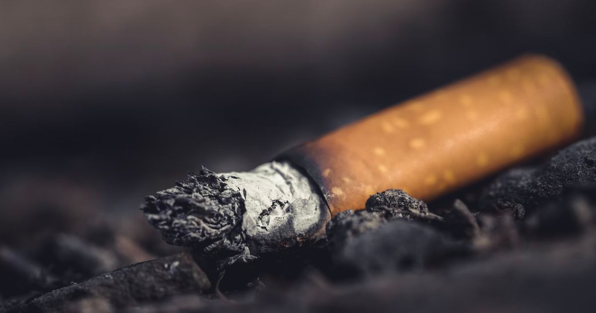 Efek Merokok & Alasan Merokok Buruk Bagi Tubuh